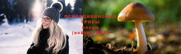 дмт Алексеевка