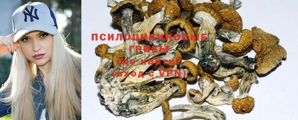 дмт Алексеевка