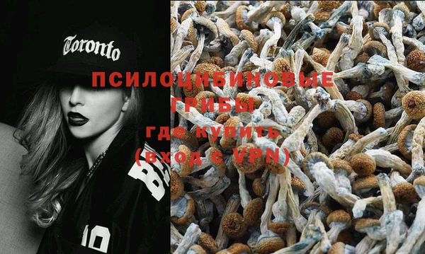 дмт Алексеевка