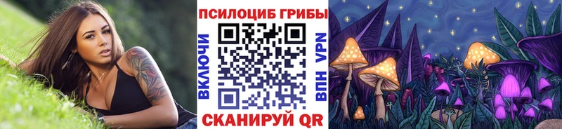 Псилоцибиновые грибы MAGIC MUSHROOMS  нарко площадка формула  Ижевск 